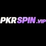 PKR Spin APK icon